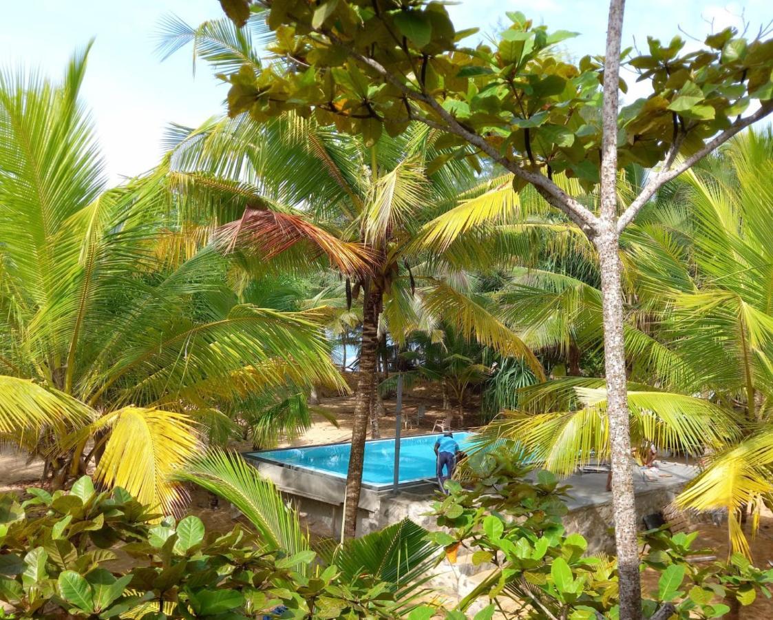 Tropical Garden Lejlighed Tangalle Eksteriør billede