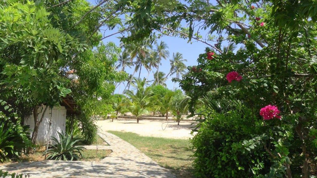 Tropical Garden Lejlighed Tangalle Værelse billede